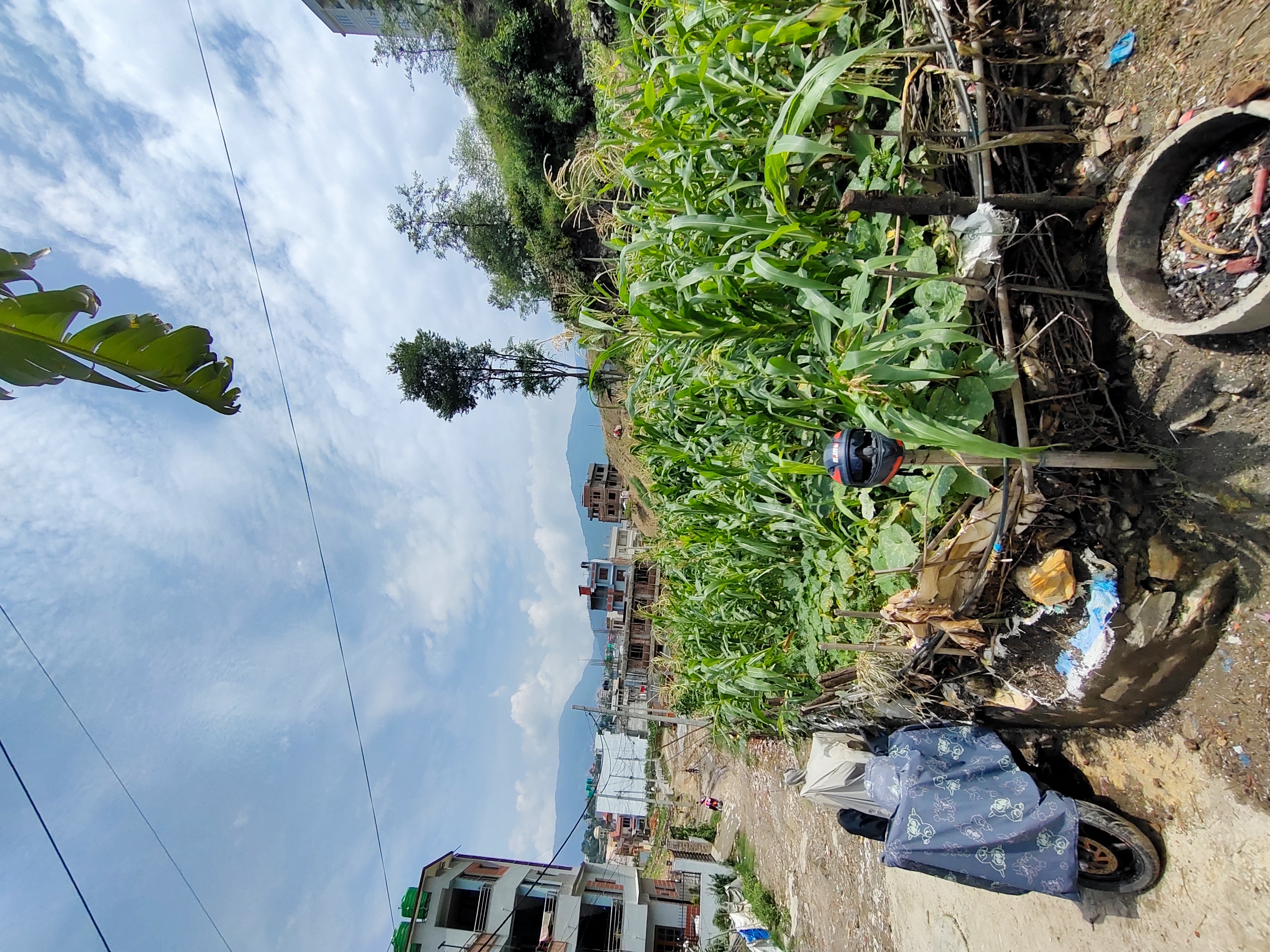 Picture of Budhanilkantha Municipality, Bagmati